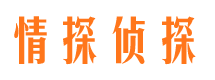 下城外遇调查取证